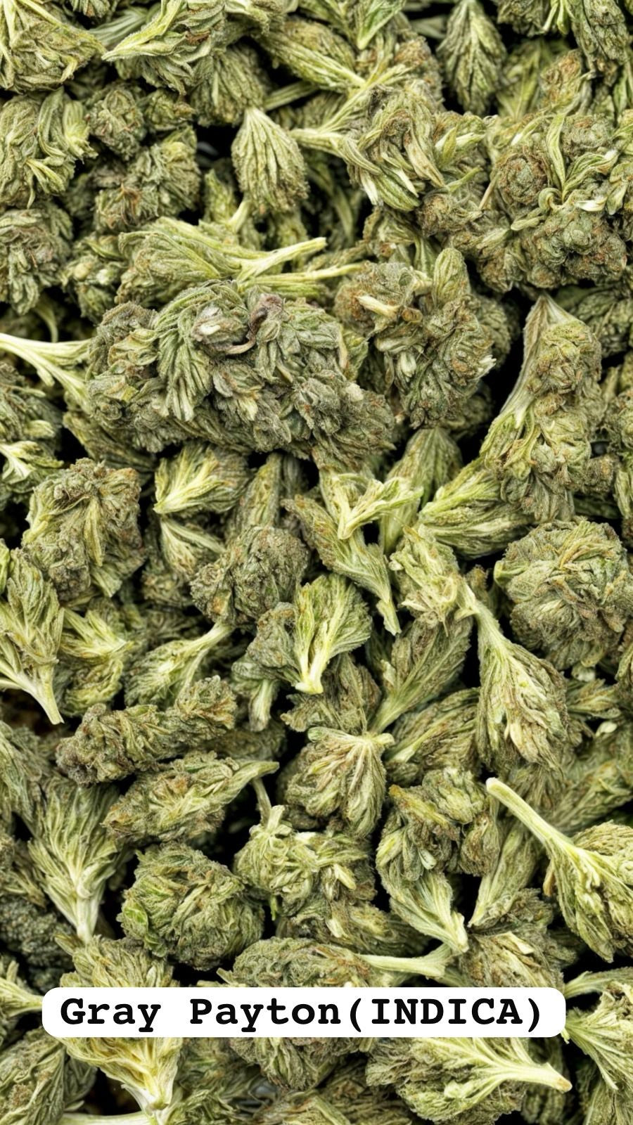 Bulk THC-A AAA Light Deep Flower