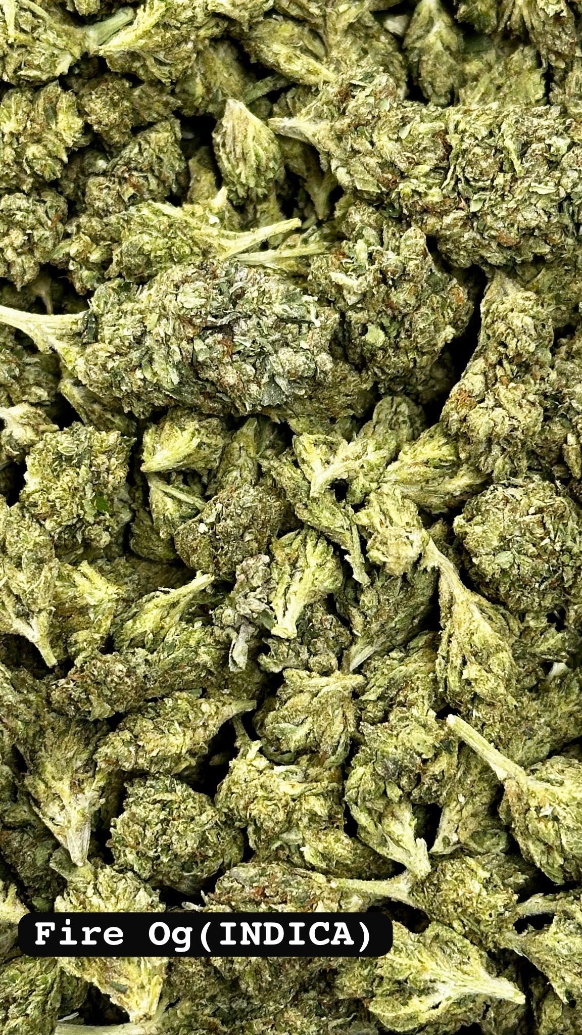 Bulk THC-A AAA Light Deep Flower