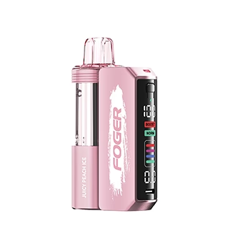 Foger Switch Pro 30K Disposable Vape - Kit ( Power Bank + Pod )