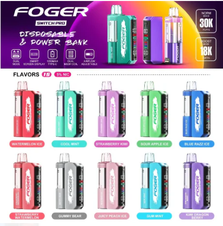 Foger Switch Pro 30K Disposable Vape - Kit ( Power Bank + Pod )