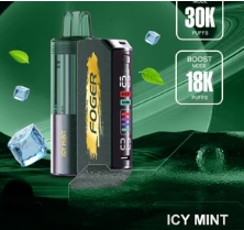 Foger Switch Pro 30K Disposable Vape - Kit ( Power Bank + Pod )