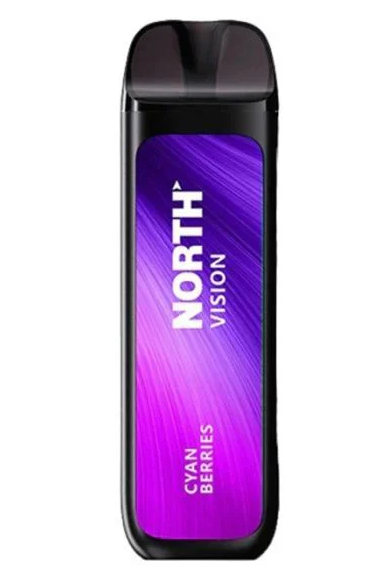 North Vision 15000 Puffs (5CT DISPLAY)
